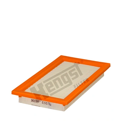 E557L Hengst