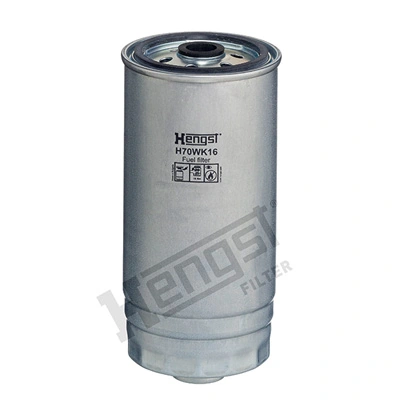 H70WK16 Hengst