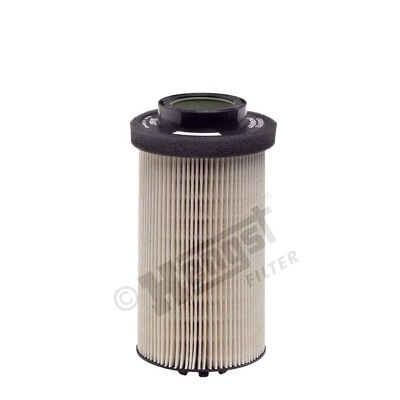 E500KP02D36 Hengst