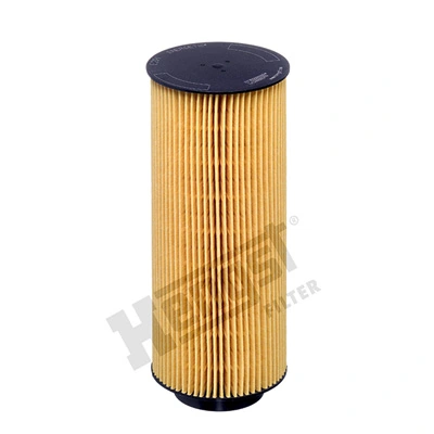 E21HD361 Hengst