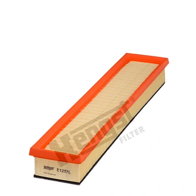 E1257L Hengst