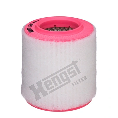 E1226L Hengst