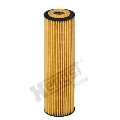 E207HD221 Hengst
