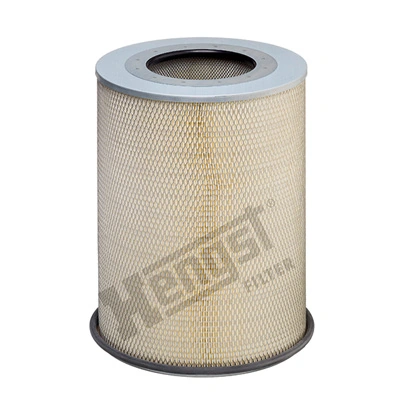 E496L01 Hengst