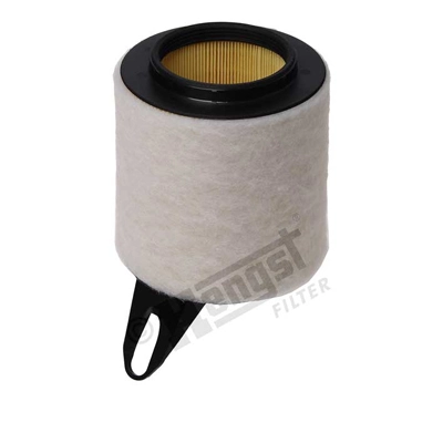 E621L Hengst