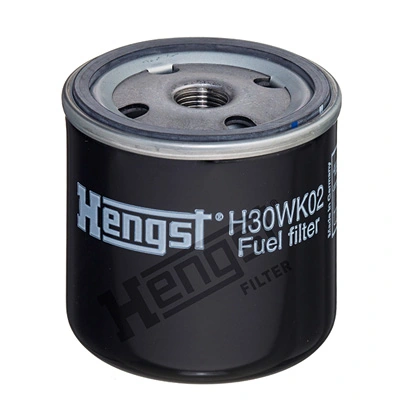 H30WK02 Hengst