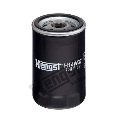 H14W37 Hengst