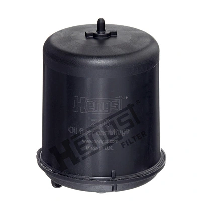 Z16D183 Hengst