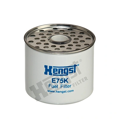 E75KD42 Hengst