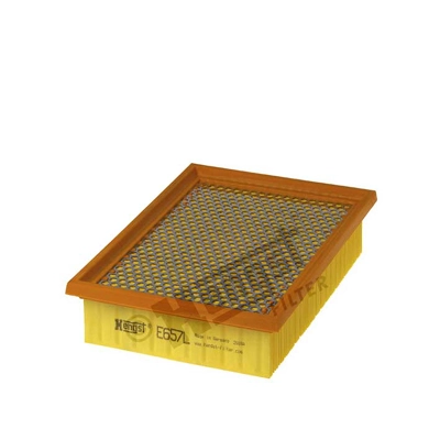 E657L Hengst