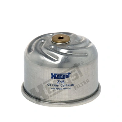 Z15D167 Hengst