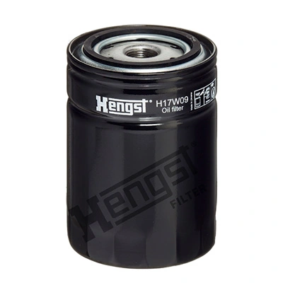 H17W09 Hengst