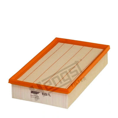 E227L Hengst