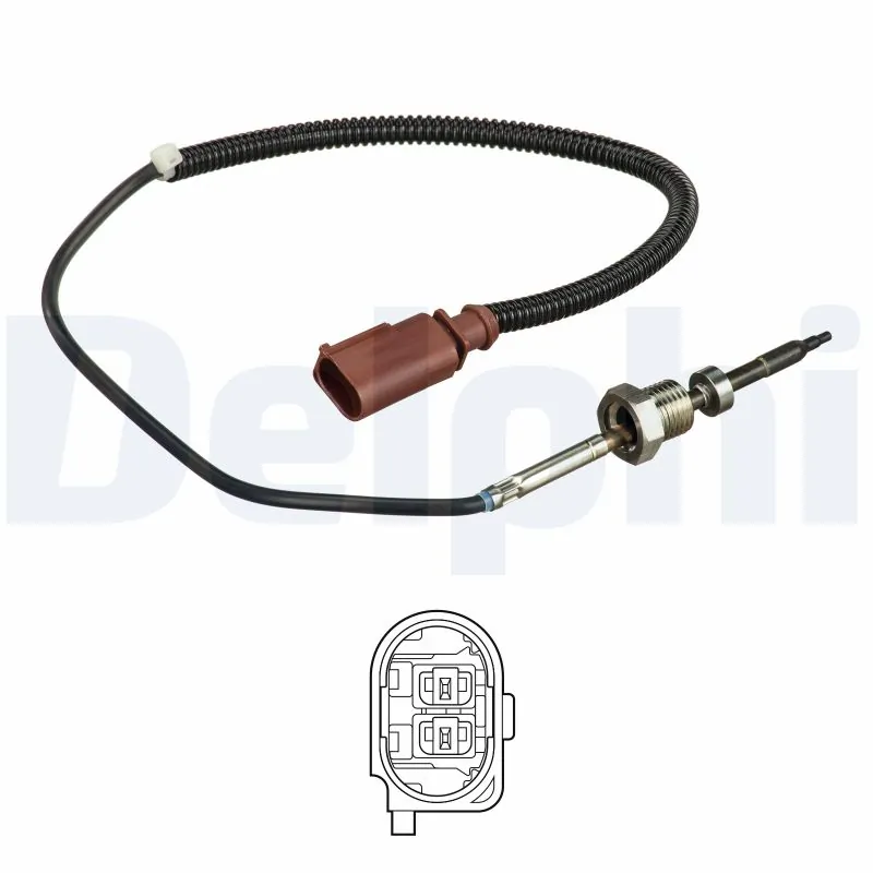 TS30147 Delphi