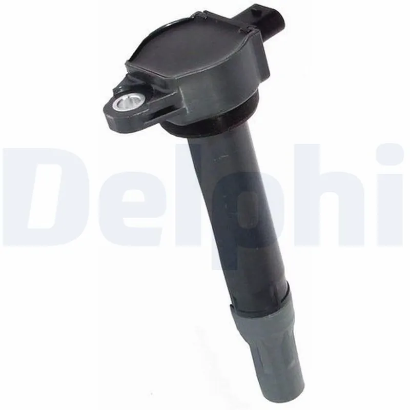 GN1031012B1 Delphi