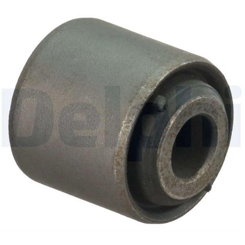 TD1631W Delphi
