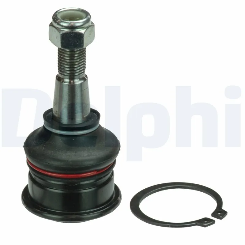 TC1006 Delphi