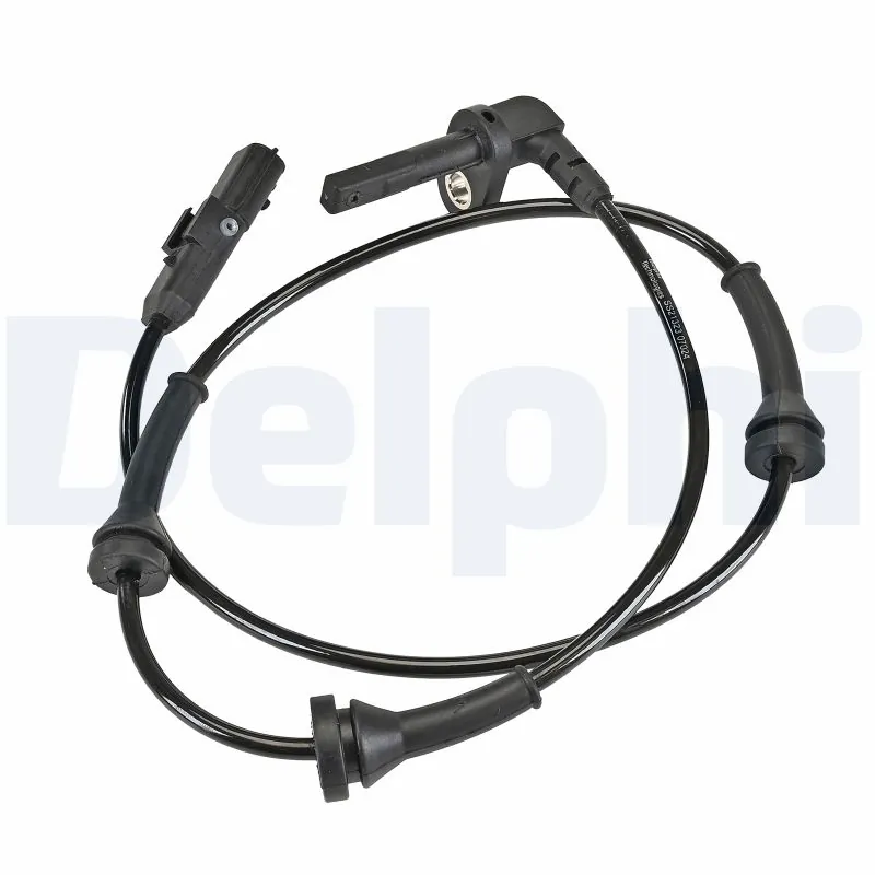 SS2132312B1 Delphi