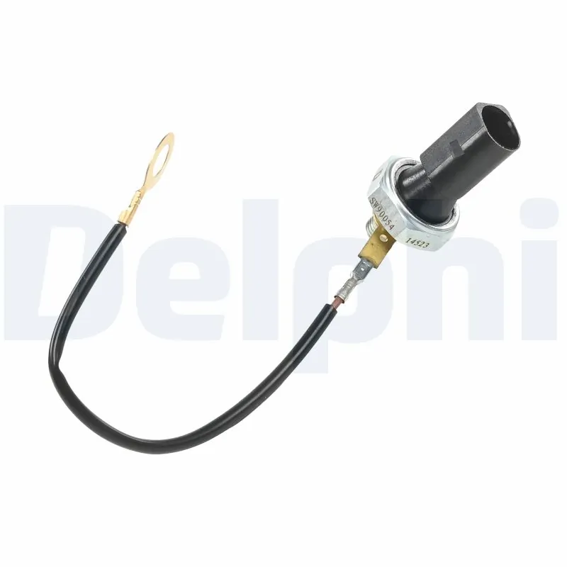 SW90054 Delphi