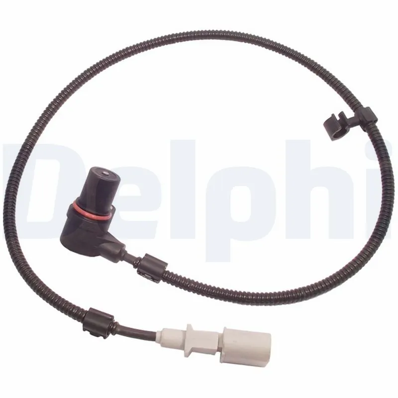 SS10930 Delphi