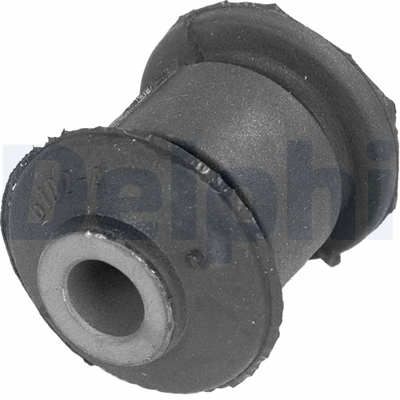 TD251W Delphi