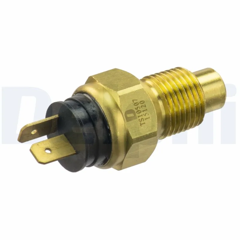 TS10507 Delphi