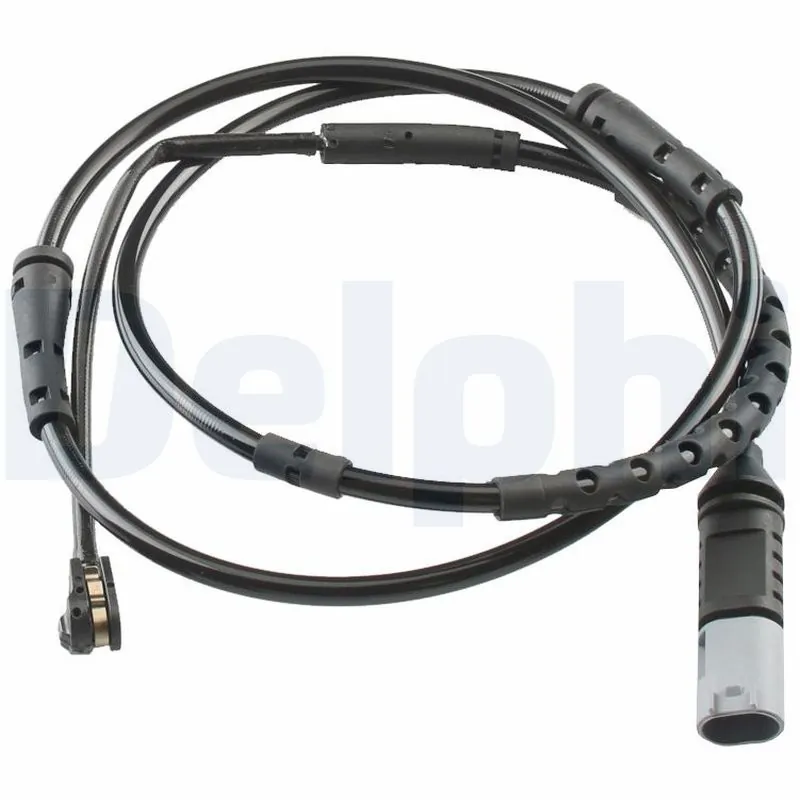 LZ0211 Delphi
