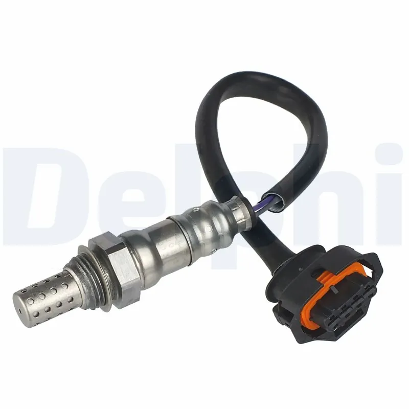 ES2031512B1 Delphi