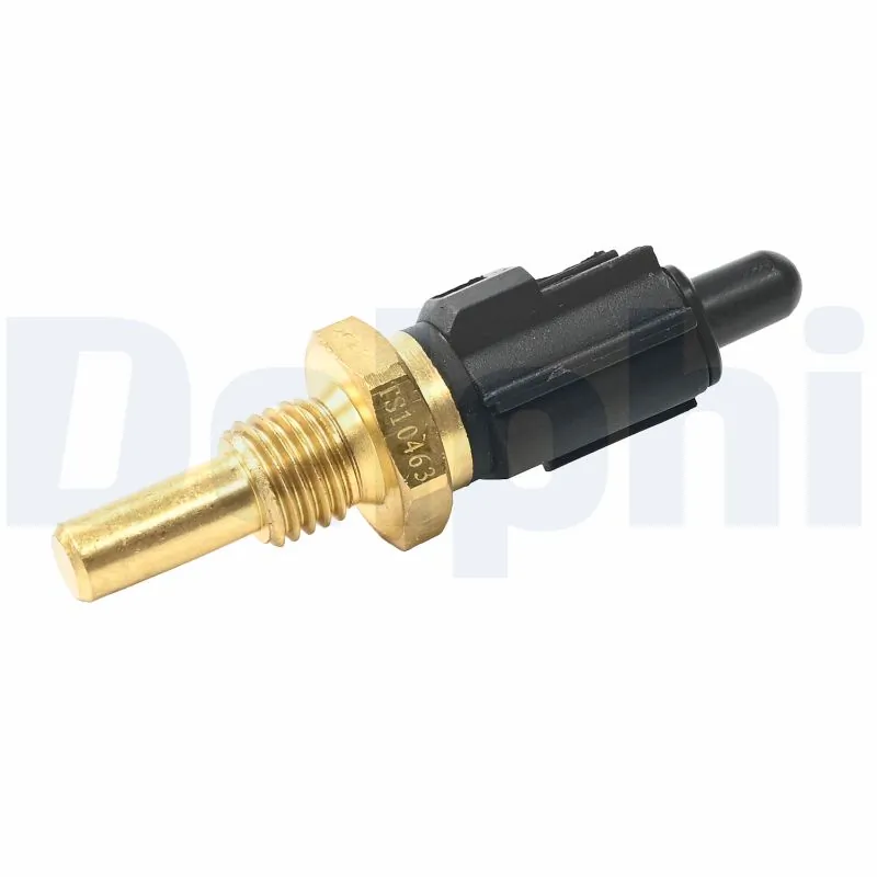 TS10463 Delphi