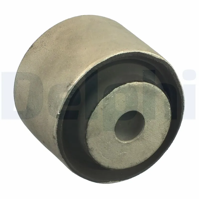 TD1011W Delphi