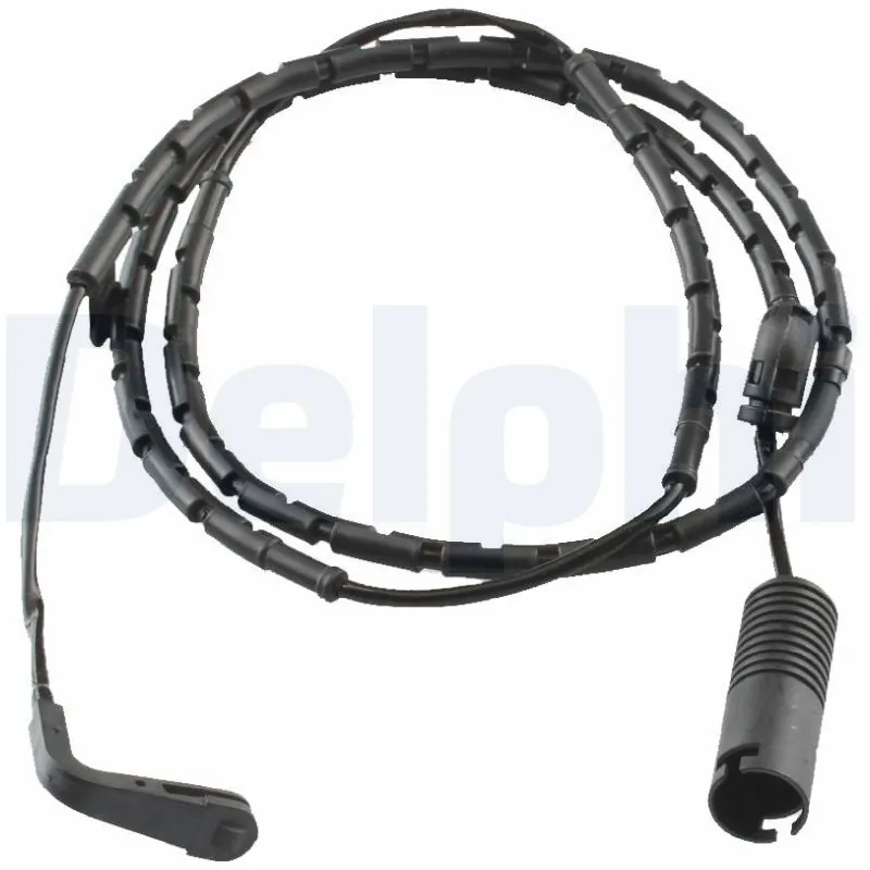 LZ0196 Delphi