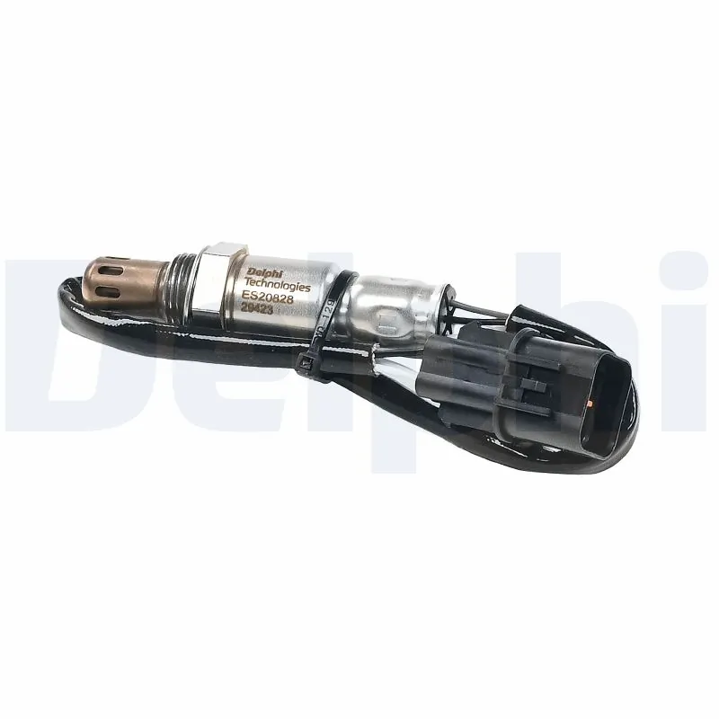 ES2082812B1 Delphi