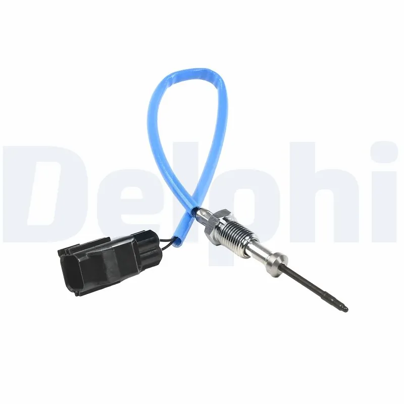 TS3012012B1 Delphi