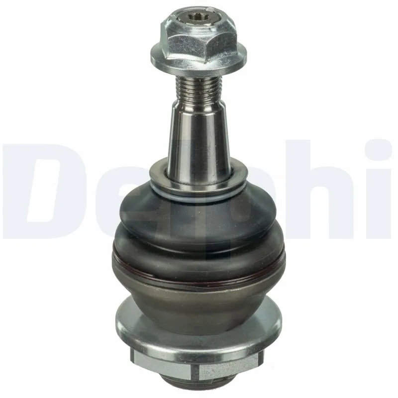 TC3666 Delphi