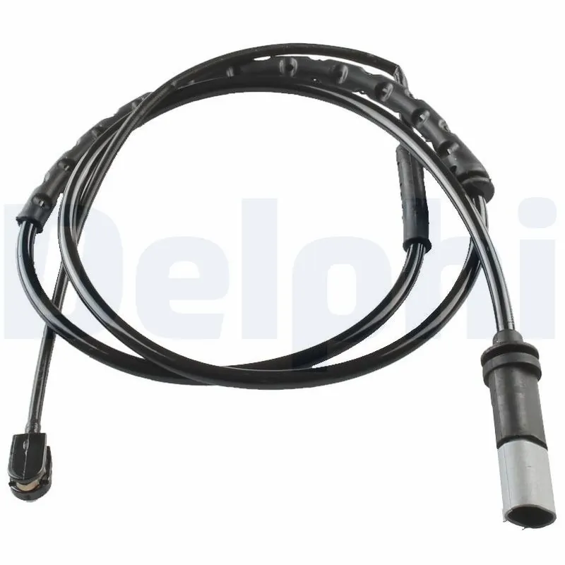LZ0247 Delphi