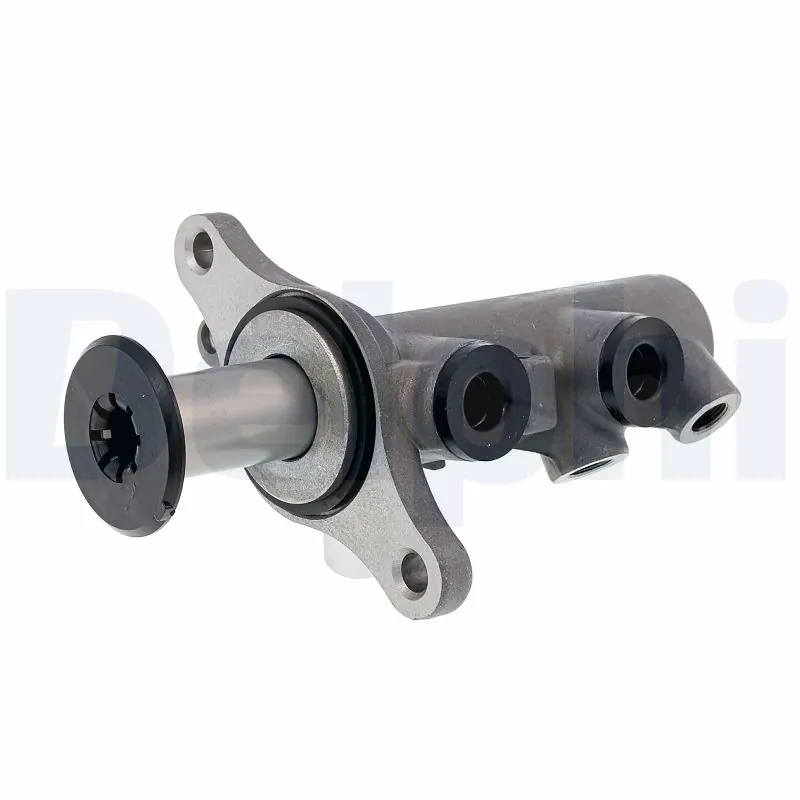 LM80661 Delphi