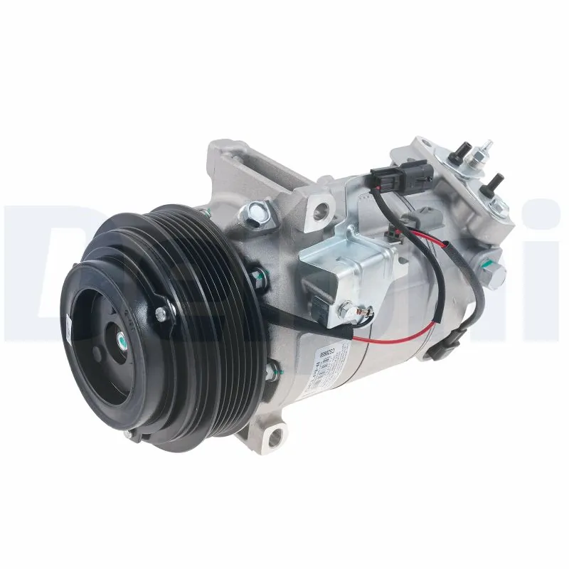 CS20658 Delphi