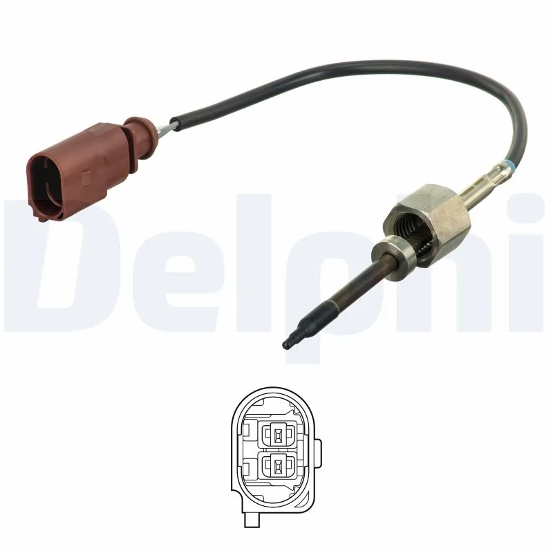 TS30262 Delphi