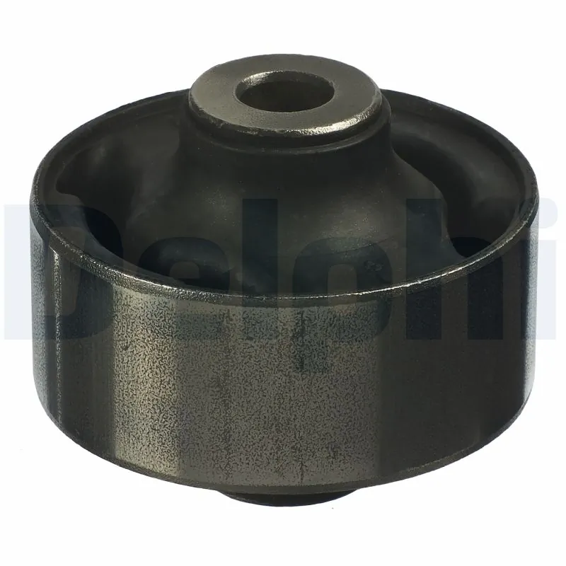 TD1098W Delphi