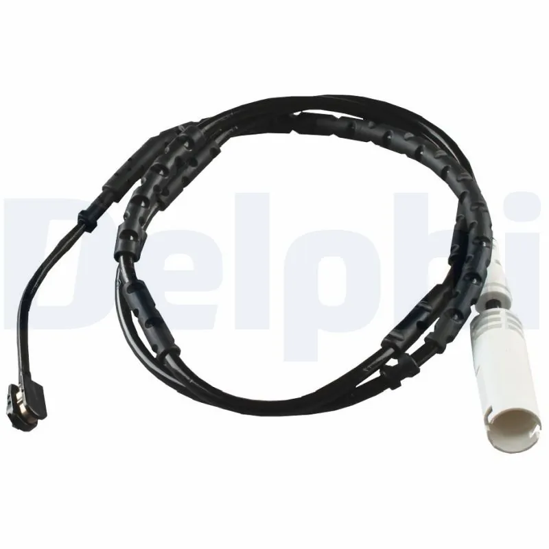 LZ0217 Delphi