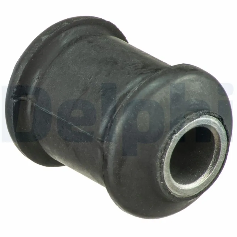 TD1789W Delphi