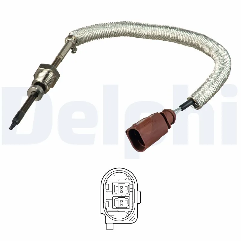 TS30145 Delphi