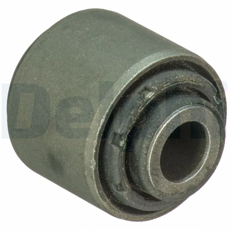 TD1717W Delphi