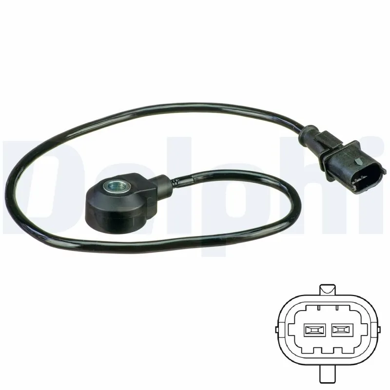 AS10209 Delphi