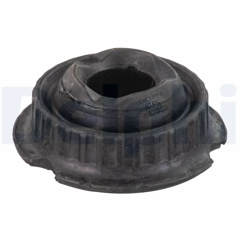 BSJ10119 Delphi