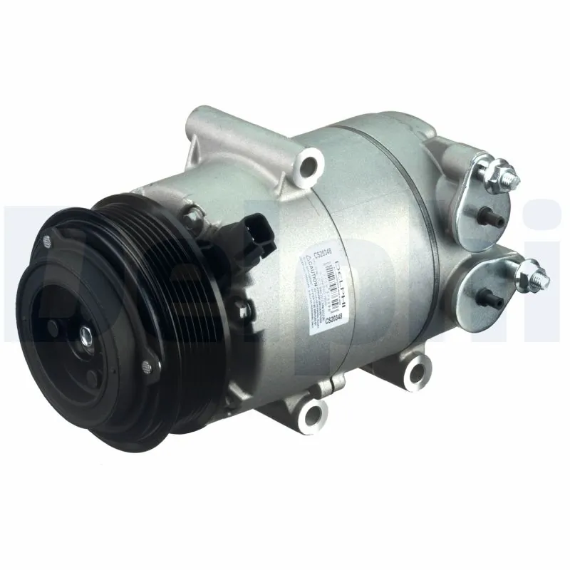 CS20348 Delphi