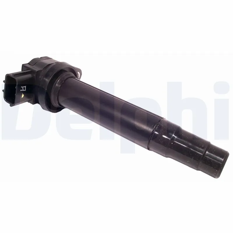 GN1033612B1 Delphi