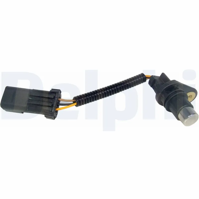 SS10896 Delphi