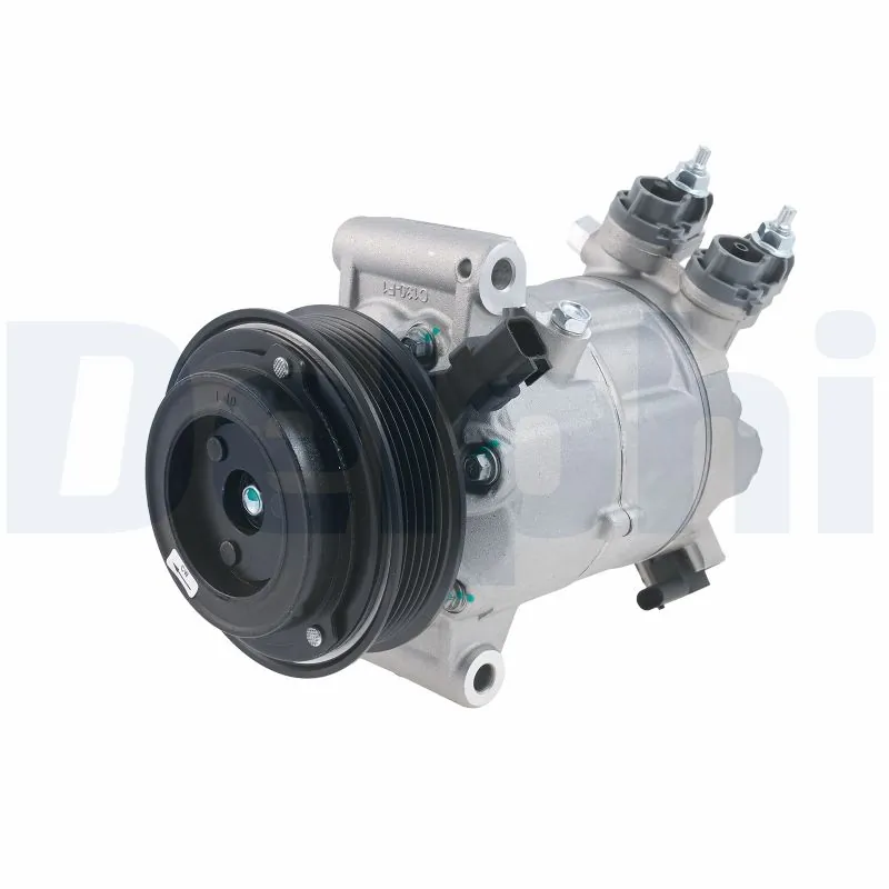 CS20660 Delphi