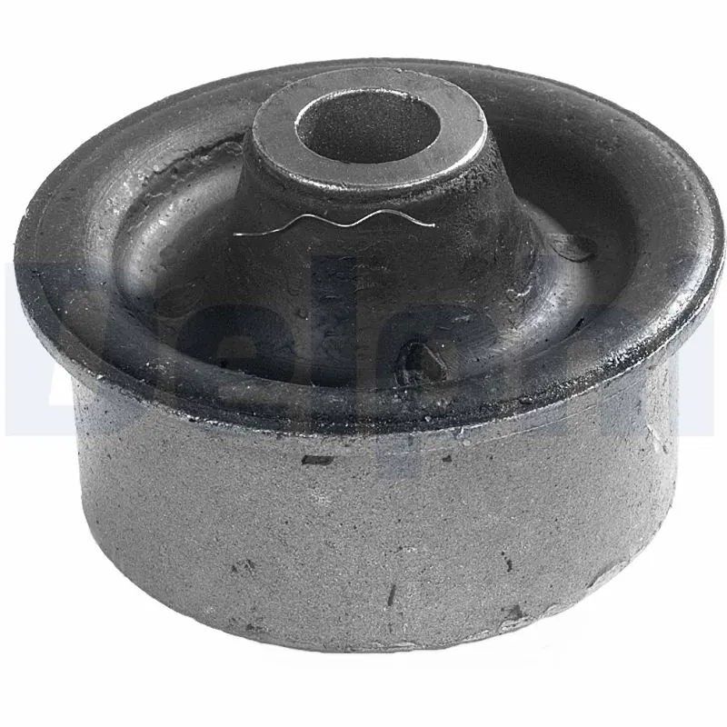 TD254W Delphi